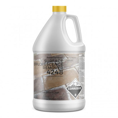 PaverGeneral Surface Efflorescence Remover 4248 - Remove Salt Stains from Brick, Stone, Concrete, and More