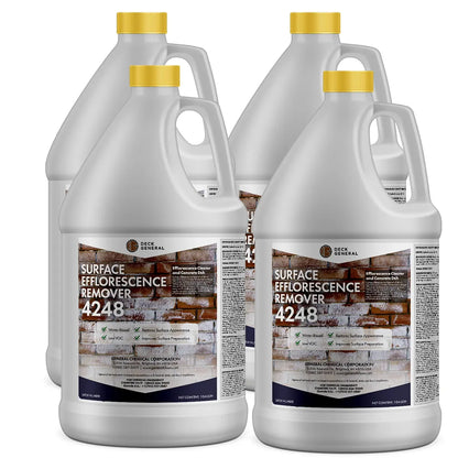 PaverGeneral Surface Efflorescence Remover 4248 - Remove Salt Stains from Brick, Stone, Concrete, and More