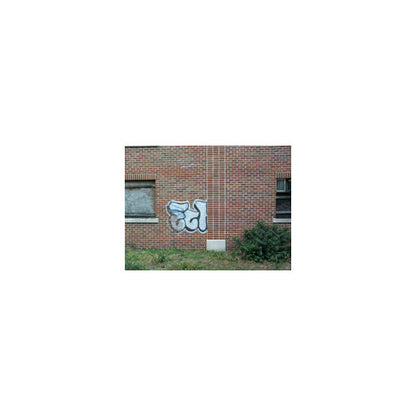 Paint Strippers General Graffitex 4800 - Paint and Graffiti Remover for Walls