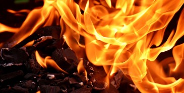 Flame Retardants