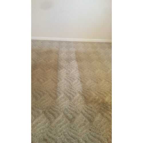 CarpetGeneral Carpet Fiber Rinse 5600 - Ultimate Deep Clean and Color Protection