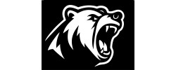 BEARFORCE Logo