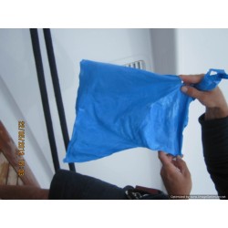 IMG_3924-Optimized.jpg